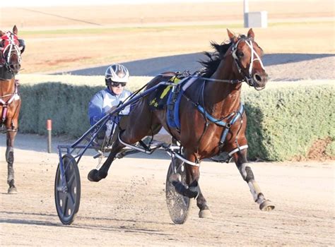 harness racing australia fields|Race Fields .